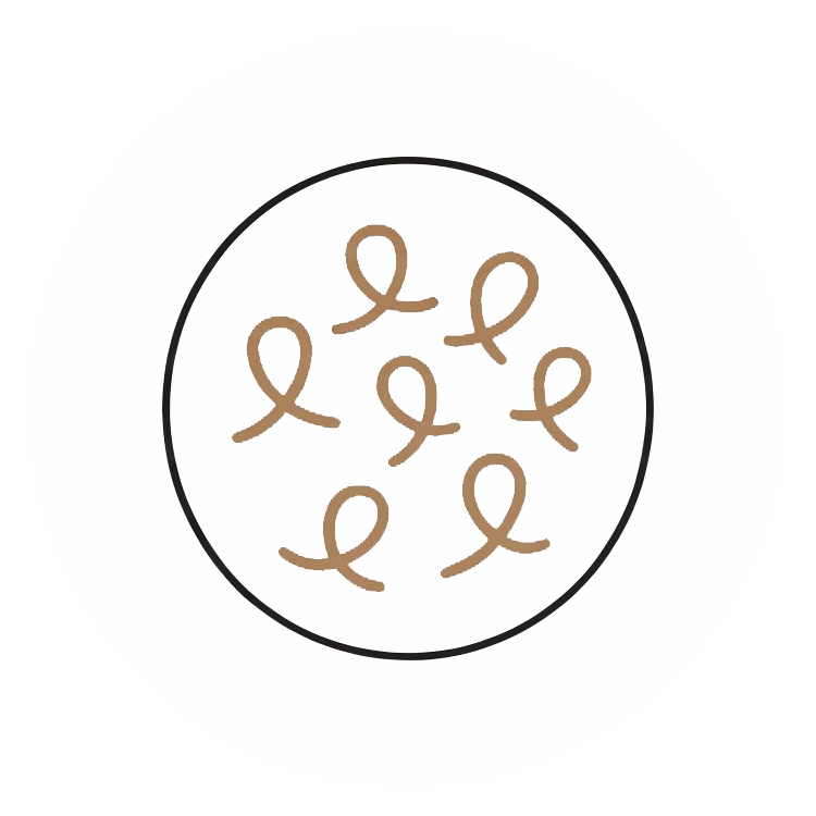 Feature icon